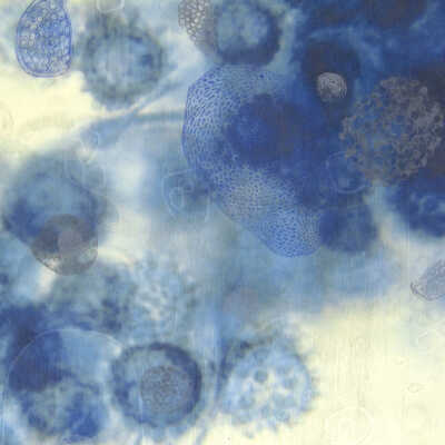 Composition 24