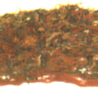 Fragment