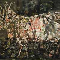 Deer Types