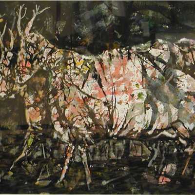 Deer Types