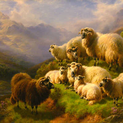 On the Mountain Side-Glen Strae, Argyllshire