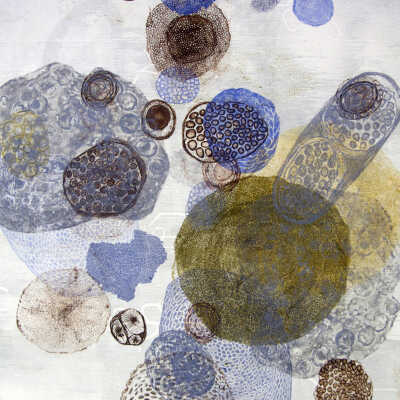 Composition 40