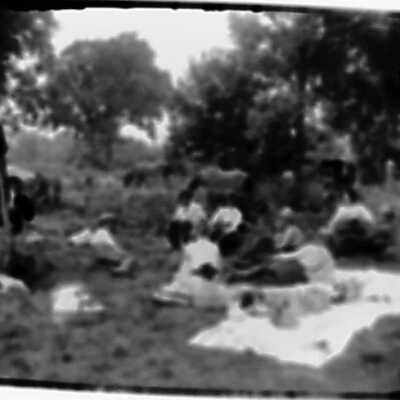 Family Picnic