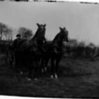 Allie Prickett and team