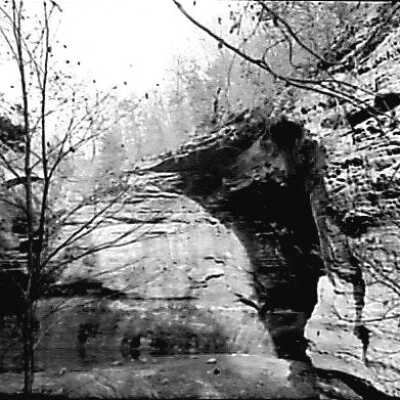 nature scene