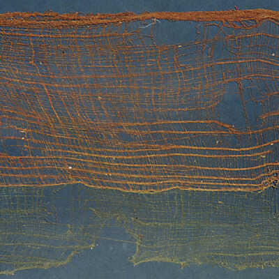 Fragment