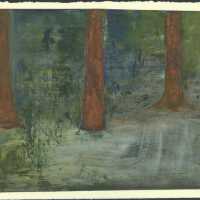 Woods