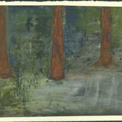 Woods