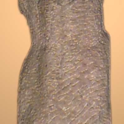 Unfinished torso