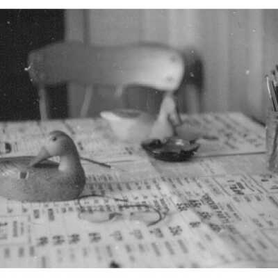 John Thomas Painting Duck