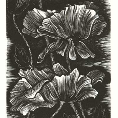 Poppies