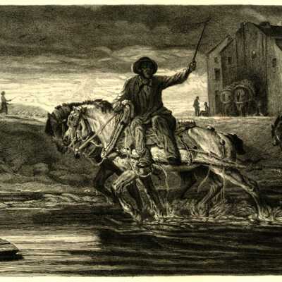 Boat Horses