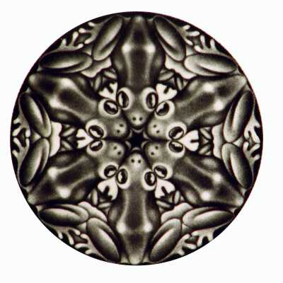 Frog Cog