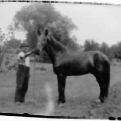 Joe Hanson's Horse. Newark, Ill