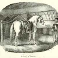 Cheval d