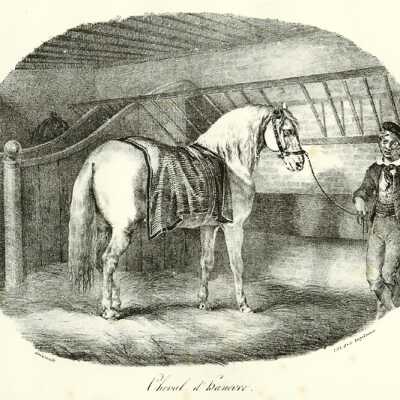 Cheval d' Hanovre (from the series "Etudes de Chevaux")