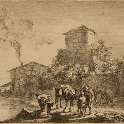The Muleteer