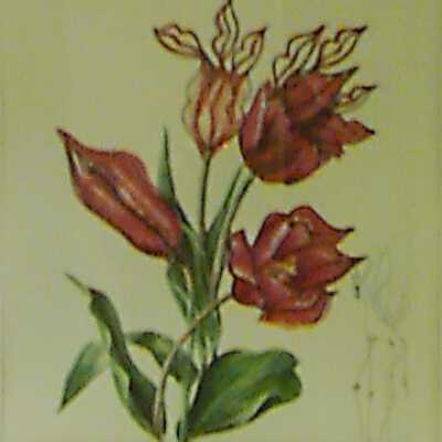 Tulips [+ lips] Girafe en feu (Tulips and lips Giraffe on Fire)