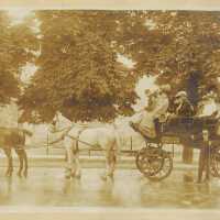 Tour Group in King Edward Carriage