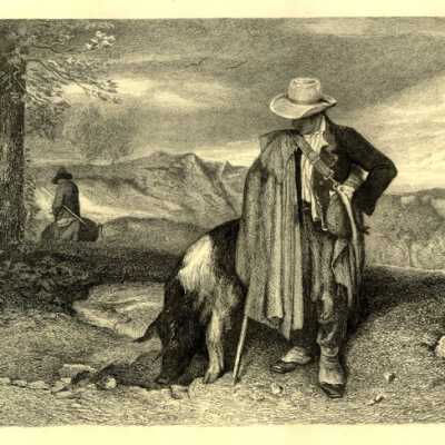 Truffle Hunter, The
