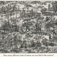 Different Kinds of Nature