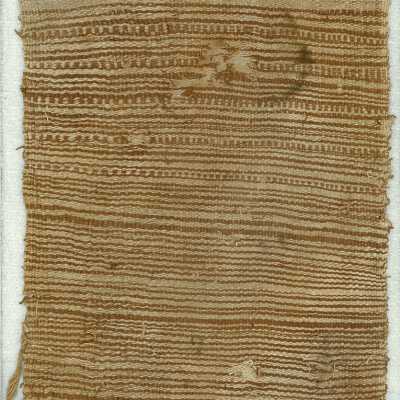 Cloth