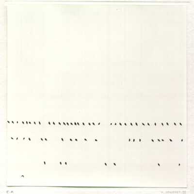 Birds on Water
