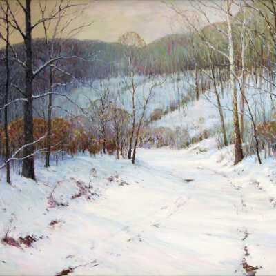 Landscape in Snow/Woodland Trail