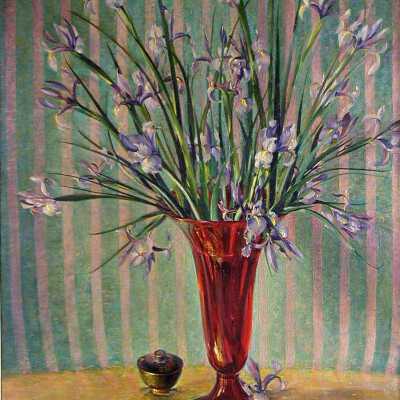 Japanese Iris
