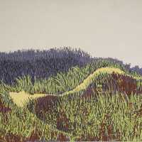 Dunes, South Shore