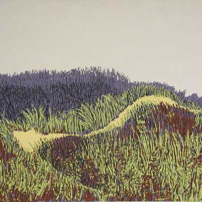 Dunes, South Shore