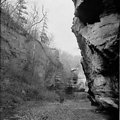 nature scene