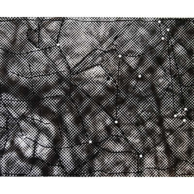 Canopy II
