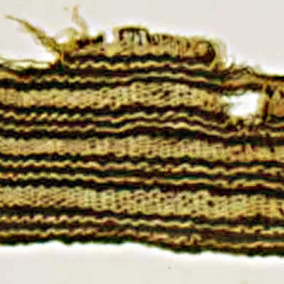 Fragment