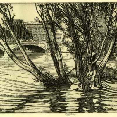 Water Willows