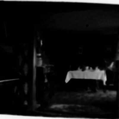 Mrs. O. Fowler's dining room. Newark, Ill.