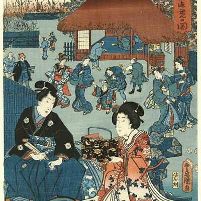 Enjoying the Plum Blossoms