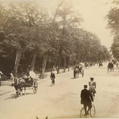 Bois de Boulogne- Allee de Longchamps