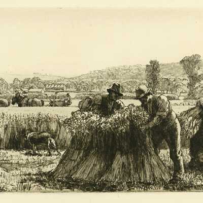 Wheatfield