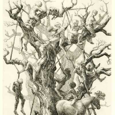Big Tree