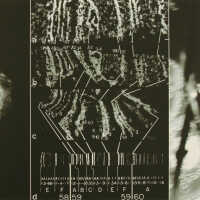 Species Boundaries: Genetic Edge