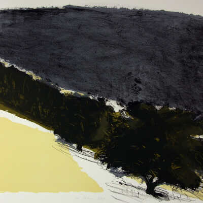 Tree in Landscape