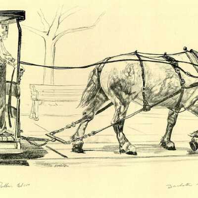Old Dobbin