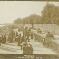FIRENZE Cascine. Il Viale della Regina.