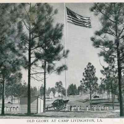 Camp Livingston- Postcard- Old Glory
