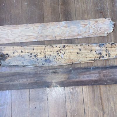 Camp Claiborne ~ Wooden Remains of a Building