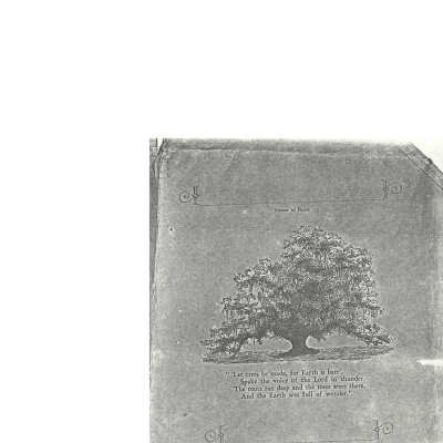 School Book Cover