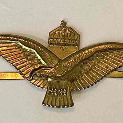 Hungarian Gilded Aviation Badge Picked up by U.S. Army Soldier