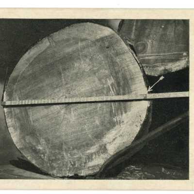 Postcard of Great Southern Lumber Company in Bogalusa, LA (a)