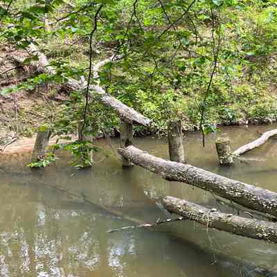 Photographs of the Remains of the CPMRR Bridge that Crosses Spring Creek